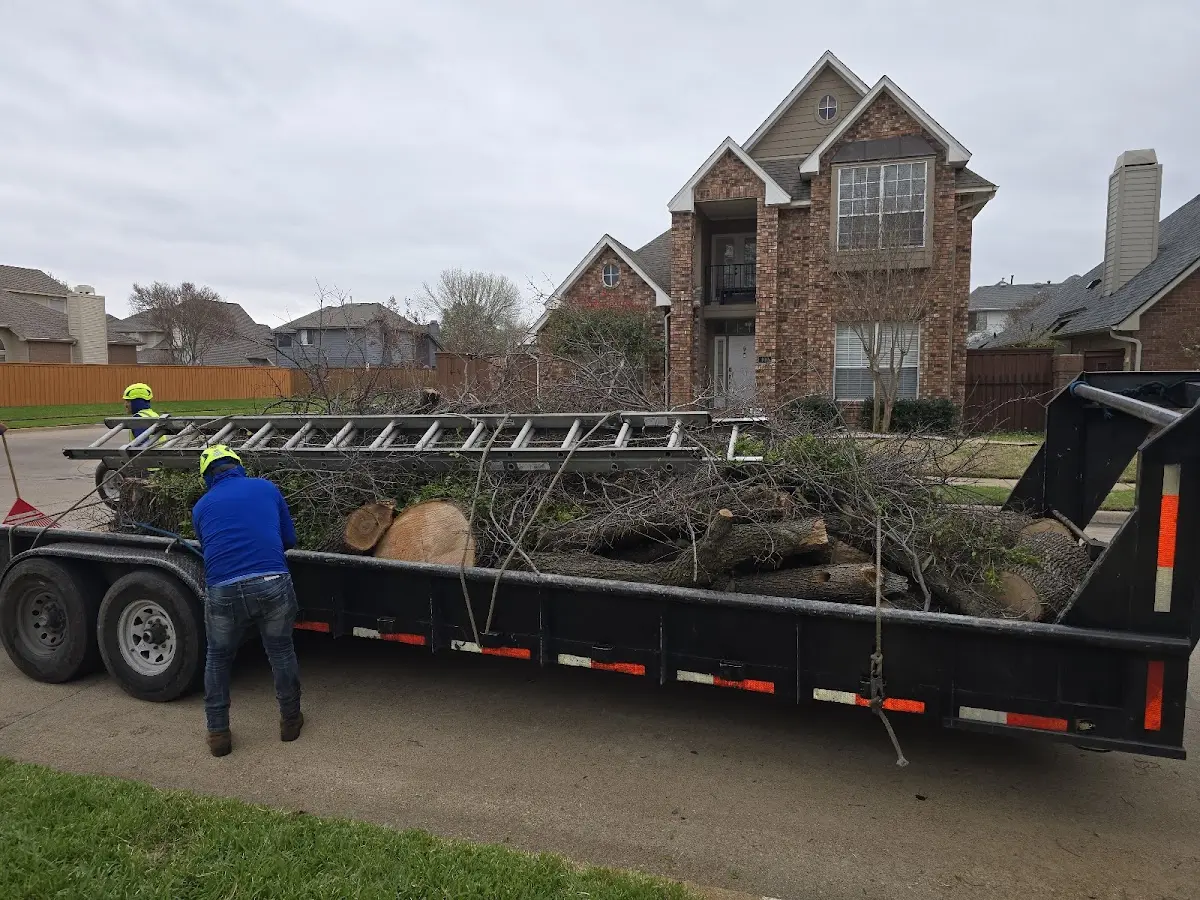 Expert Lot Clearing with proper safety equipment in Meadview